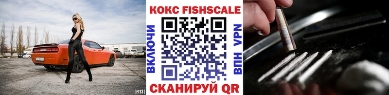 КОКАИН Fish Scale  купить наркотики цена  Луза 