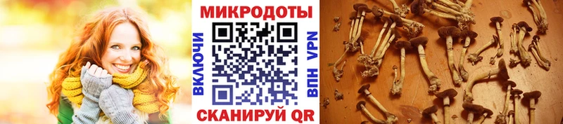 блэк спрут рабочий сайт  наркота  Луза  Галлюциногенные грибы ЛСД 
